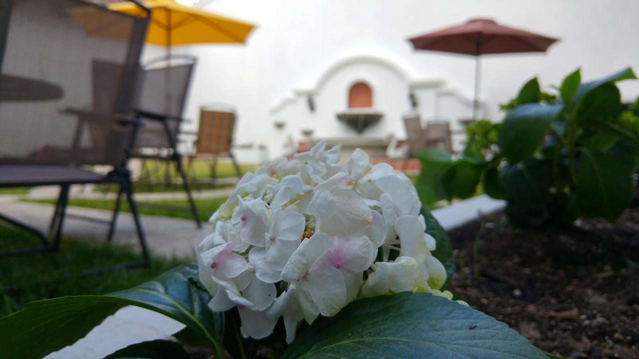 Ixkanul Antigua Hotel 외부 사진