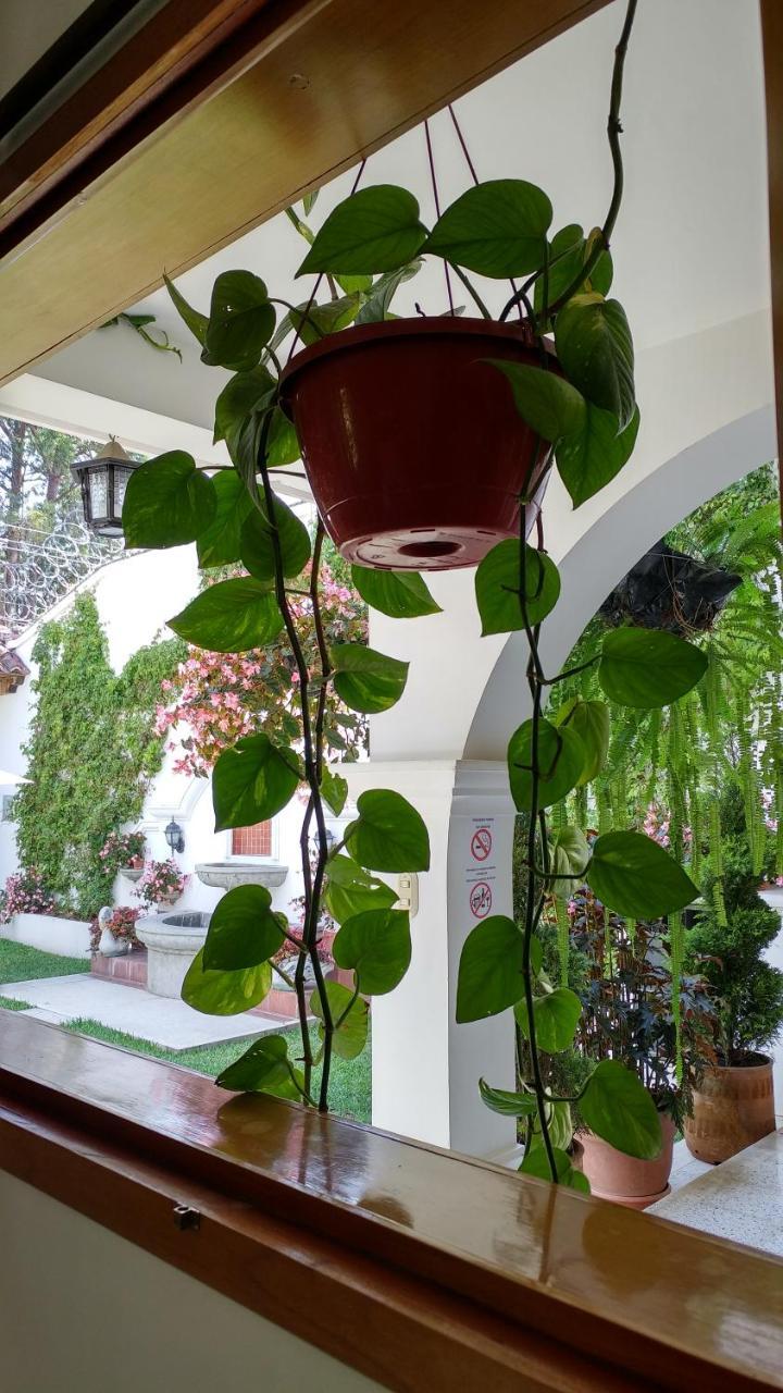 Ixkanul Antigua Hotel 외부 사진